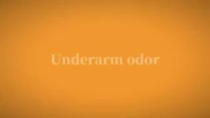 SADOER Whitening Cream Pemutih Kulit Ketiak Leher Selangkangan Underarm Ketek Siku Lutut Lipatan Tubuh - Whitening Cream Armpit Whitening Cream Body Dark Skin 50ml - Lazada