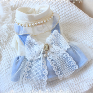 Pet Dog Fall and Winter Lace Princess Dress Traction Buckle Pet Clothes Dog Teddy Bichon Cat Strap Dress