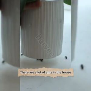 ✨1 infects all✨ant bait killer 10g ant killer