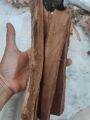 Cinnamon bark or kaningag bark  herbal woods 100 pesos per 1/2 kilo. 