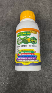 AUXIN GOLD 500ml phân bón bo giữ hoa phân bón auxin NAA phân bón chống rụng trái non phân bón lá tăng đậu trái bo + NAA cho sầu riêng phân bón cây ăn trái phân bón phục hồi cây