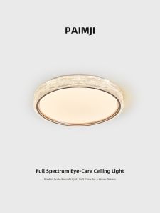 PAIMIJI | Eye-Protective Full Spectrum LED Light Fixture