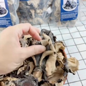 Nấm mộc nhĩ (tai mèo) chính hãng nguyên cành to & thái sợi cắt dẻ không cành ngon giòn không hóa chất.