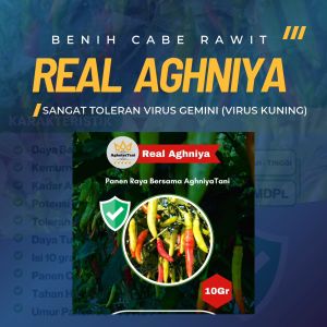 Benih Cabe Rawit Real Aghniya 10 Gram Buah Super Lebat 10gr Isi 1.800 Butir