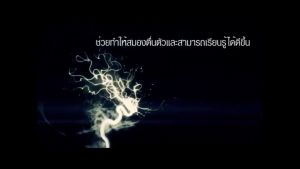 อเลอไทด์ Alertide สำหรับสมองและระบบประสาท สมาธิสั้น จำยาก ลืมง่าย