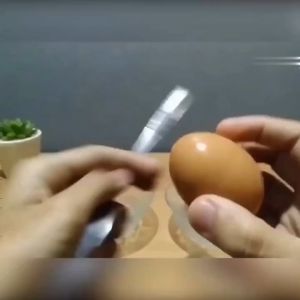 Sendok Pemisah Kuning Telur: Alat Pemisah Telur Praktis Egg White Separator Pemisah Putih Telur