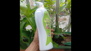 Dầu tắm gội thảo mộc chanh tươi tự nhiên thiên nhiên chăm sóc da và tóc khỏe đẹp