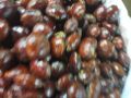 JENGKOL BEWEH TUA MENTAH 1 KG. 
