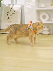 Adjustable Reflective Escape-Proof Pet Vest Harness Breathable Step-In for Cats & Dogs No Choke Comfort