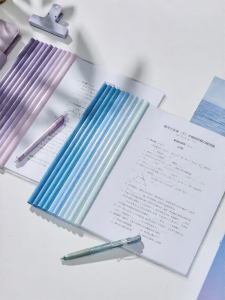 SANNIANERBAN | Gradient Transparent Lever Arch File A4