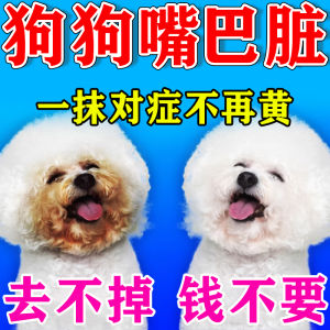 Dog Tear Stain Remover Foam Yellow Mouth Border Hair Cleaning Pet Care Product Schnauzer Bichon Pomeranian Stain Removal Tool