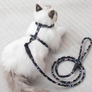 Jiaxun | Escape-Proof Non-Choking Cat Leash