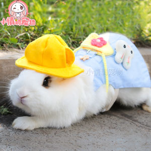 Pet Rabbit Clothes Pulling Rope Ear Hanging Rabbit Doll Clothes Special for Dwarf Rabbits Pet Accessories Rabbit Skins