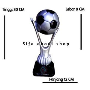 Trophy piala Dunia Bola Unik Aesthetic Murah Varian Warna 30cm
