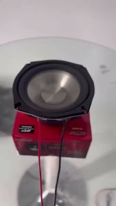 The FTstar 5.25 inch 300Watts Subwoofer Speaker 5.25inch Dual Cone Car Speaker TX-5UBS