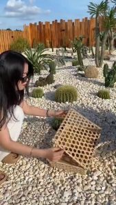 Thịt khô trâu truyền thống đồng tháp buffalo meat Quang Hiển đậm đà hương vị tự nhiên hộp 250gr