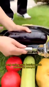 3Pcs/Set Stainless Steel Potato Cucumber Carrot Grater Julienne Vegetable Fruit Peeler Slicer Tweezer Kitchen Tools