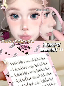Natural Looking Single Cluster Segmented Fake Eyelashes Beginner Friendly Xoyo Transparent Stem Synthetic Fiber for Any Skin Type