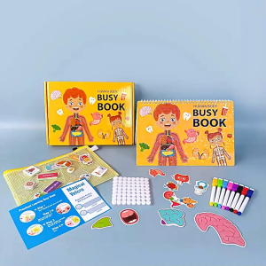 Đồ chơi giáo dục sách bận rộn 15 chủ đề kiến thức về cấu trúc cơ thể- DC5044