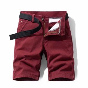 Mens Casual Cotton Workwear Shorts Summer Sport Leisure Loose Straight Thin Pure Cotton Horse Pants Youth Trendy Style