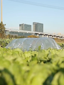 5pcs 120/150cm Fiberglass Rod High Strength Plant Greenhouse Tent Support Rod