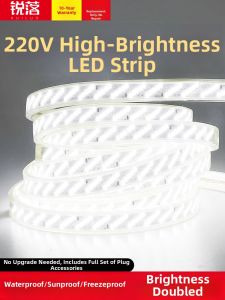 RUILUO | Ultra Bright Outdoor Waterproof Lighting Strip 220V