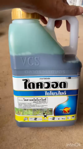 กำจัดหญ้า เผาไหม้ ไดควอต ไดโบรไมด์ สารทดแทน พาราควอต สารกำจัดวัชพืช เผาไหม้ กำจัดหญ้า ทุกประเภท ตราจิงโจ้ทอง