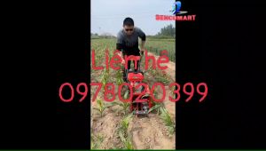 Máy vun xới ngô vun gốc lạc