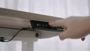 ERGOWORKS Ergonomic Standing Desk - EW-0223LITE - ERGOWORKS SIGNATURE (LITE) DESK FRAME
