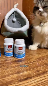 MrVet / Mr Vet Suplemen Nutrisi Hewan Anjing Kucing - Calcium / Vitamin / Probiotik / Amino Acids / Hairball Remover