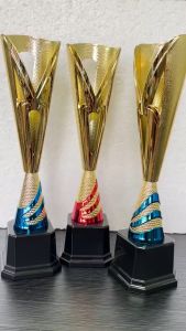 Trophy 19486/19493/19472/19403/Gold Red/Silver Blue /Gold Blue/Piala/Award (Include Logo & Label)