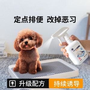 Pet Inducer Spray Dog Toilet Training Aid Urine Odor Eliminator Guided Bowel Movement Spray for Dogs Pet Care Grooming Supplies