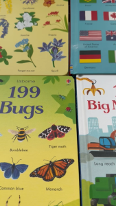 (board book) usborne 199 flags 199 flowers 199 dinosaurs 199 bugs 199 big machines board book