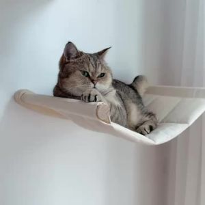 Cat Wall Hammock Wall Mounted Cat Kitty Bed Funiture with Stable Shelves and Perches for Sleeping Playing Climbing and Lounging