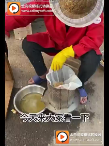 Stainless Steel Honey Press Extractor Small Household Manual Honey Pressing Machine for Home Use