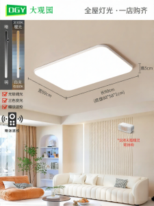 DGY | All Room Modern Simple Ceiling Light
