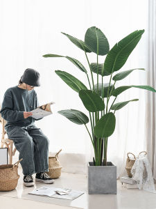 High-end Luxury Large Fake Strelitzia Flower Decor