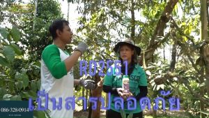 เครื่องมือทำตามคุณ - RD2551 (1 ขวด) โปรตีนอะมิโน สารเพิ่มคุณภาพและผลผลิตสกัดจากวัตถุดิบธรรมชาติ ปลอดสารพิษ