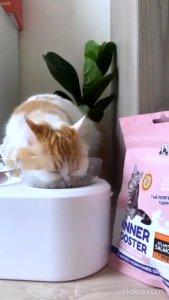 Kelly&Cos เคลลี่แอนด์โค ผงโปรตีนโรยอาหาร สำหรับแมวเบื่ออาหารง่าย บำรุงกล้ามเนื้อและกระดูก ขนาด 50g.