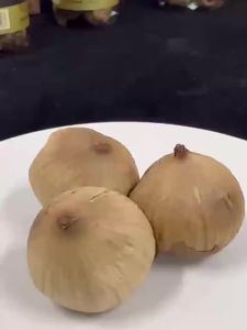 Single Clove Fermented Baked Snack Black Garlic