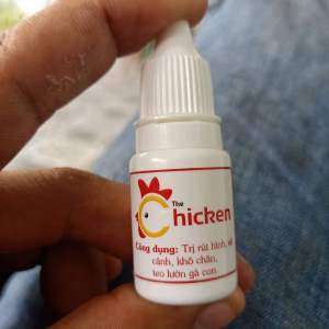 GÀ CON RÚT HÌNH KHÔ CHÂN TEO LƯỜN