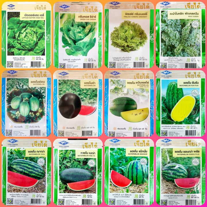 เมล็ดพันธุ์ผัก เจียไต๋ กรีนคอส บัตเตอร์เฮด ฟิลเล่ย์ ผักเคล