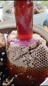 madu super propolis estra bee polen royal jeli 3 varian