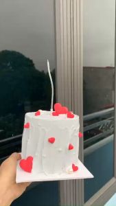 Bánh giả chụp hình siêu đẹp