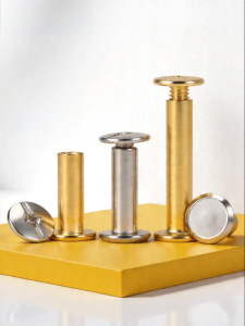 BAIRUITE | Stainless Steel Rivet Screw