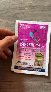 Brofreya 5SC – Giải pháp trừ sâu bọ trĩ rầy xanh bọ nhảy dòi đục lá hiệu quả thế hệ mới!