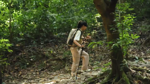 Morries MSF77 Portable Cooling Fan / Handheld Fan USB-C charging