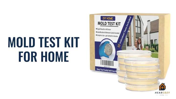 Mold Testing Kit with 10 Individual Tests - DIY Mold Test Kit for Home - Includes Detailed Mold Identification Guide - Fast and Reliable Mold Detector for Home