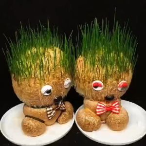 Growing Office Plant Decor Grassheads Doll Toys Small Potted Plants Gift for Children Room Decor