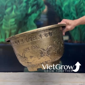 Chậu Nhựa Giả Đồng Song Long Tranh Châu kích thước Miệng x Cao x Đáy: 40 x 23 x 225cm 15 Lít